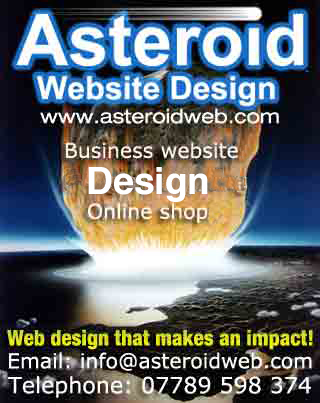 Website design, professional website designer